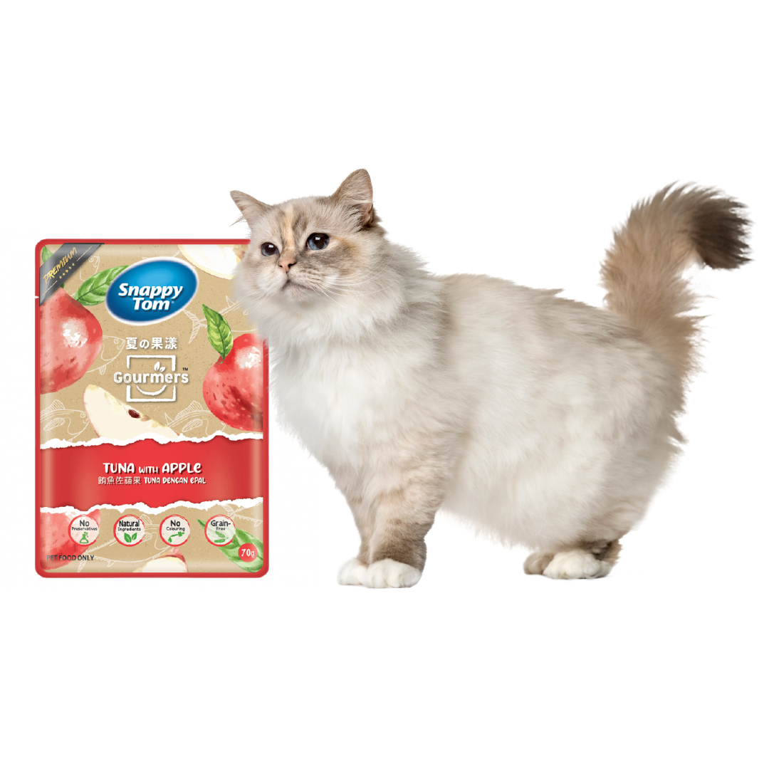 Snappy Tom Gourmets Tuna with Apple