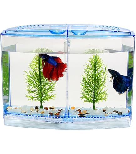 Small Dual-Compartment Fish Aquarium