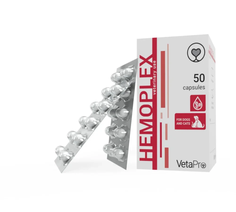 VetaPro Hemoplex – Hematinic Supplement for Dogs & Cats