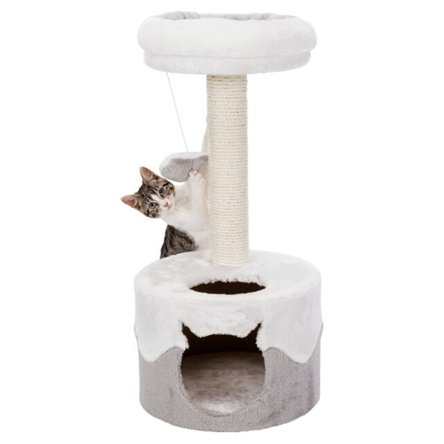 Trixie Cat Tree Nuria – 35 cm Base × 71 cm Height