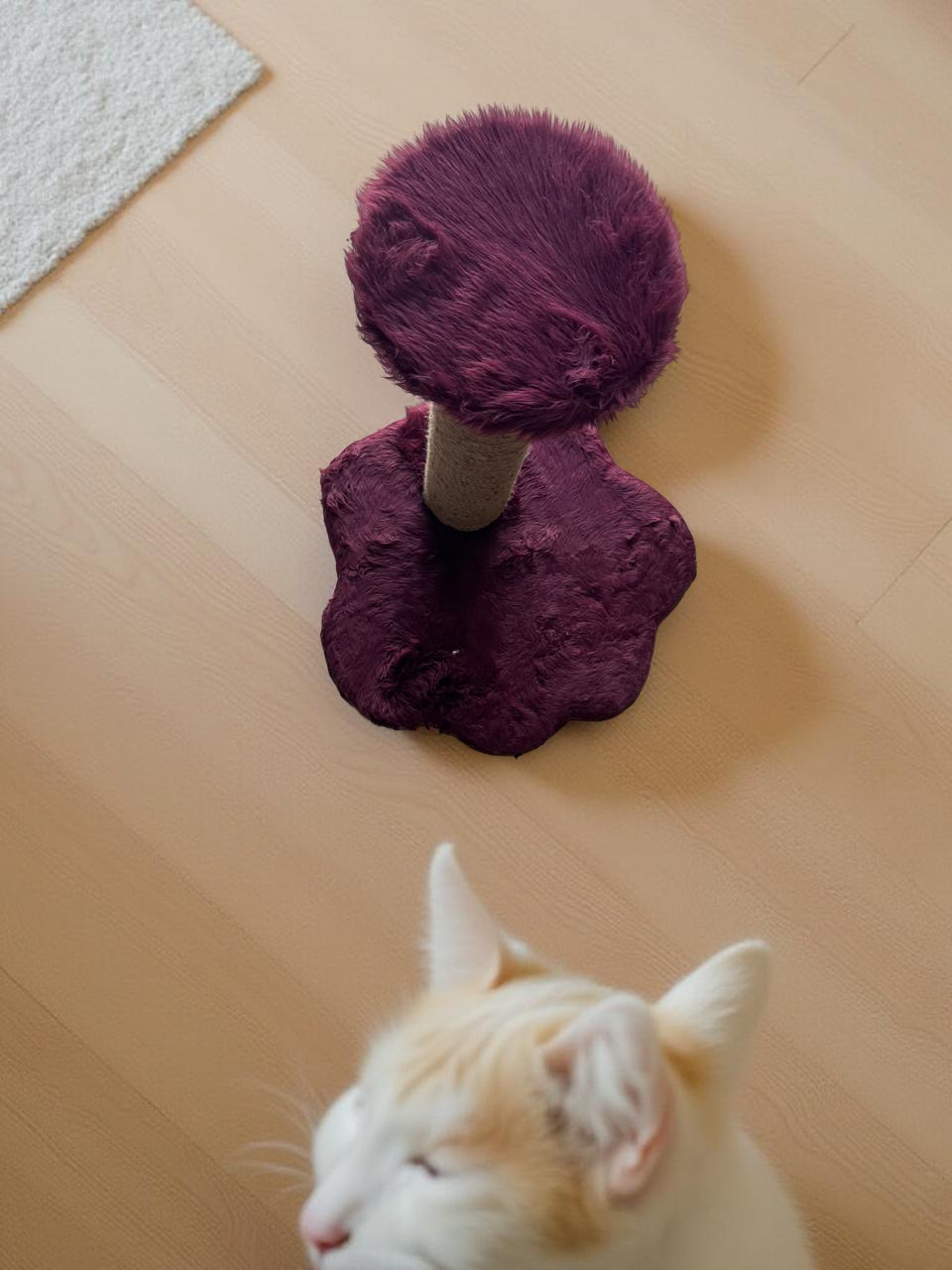 Compact Cat Scratching Post with Soft Maroon Cloud Base