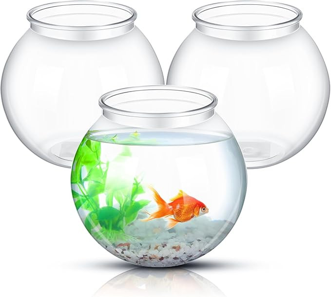 Stylish Fish Bowl with Accessories