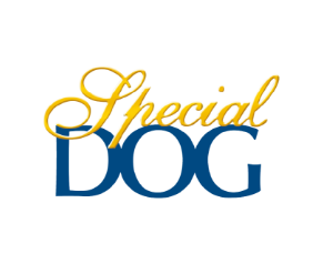 Special Dog