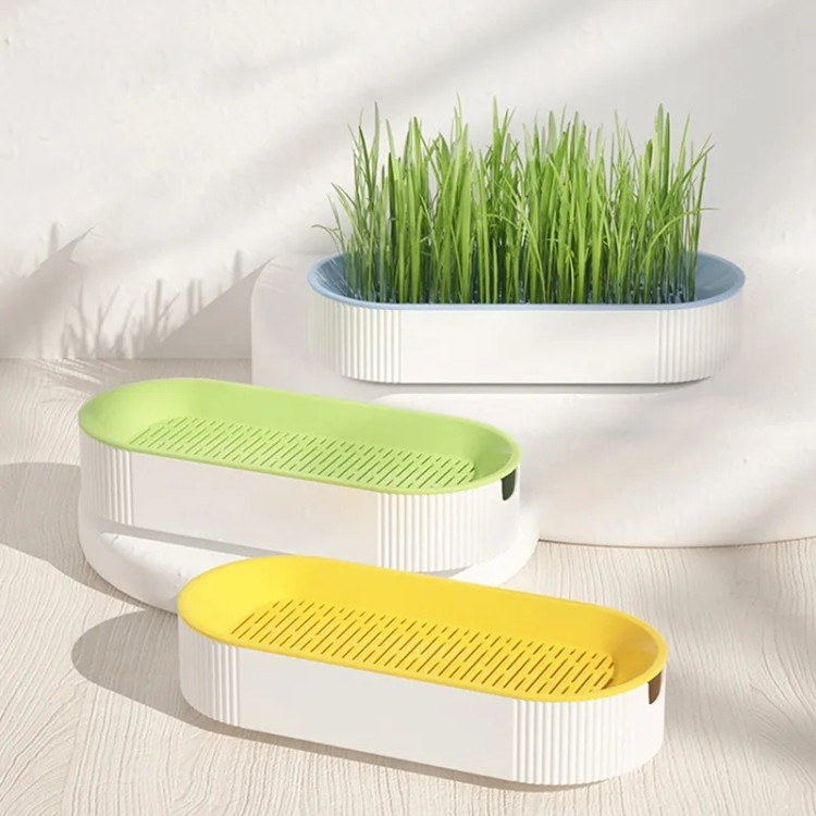 Aquatic Cat Grass Box
