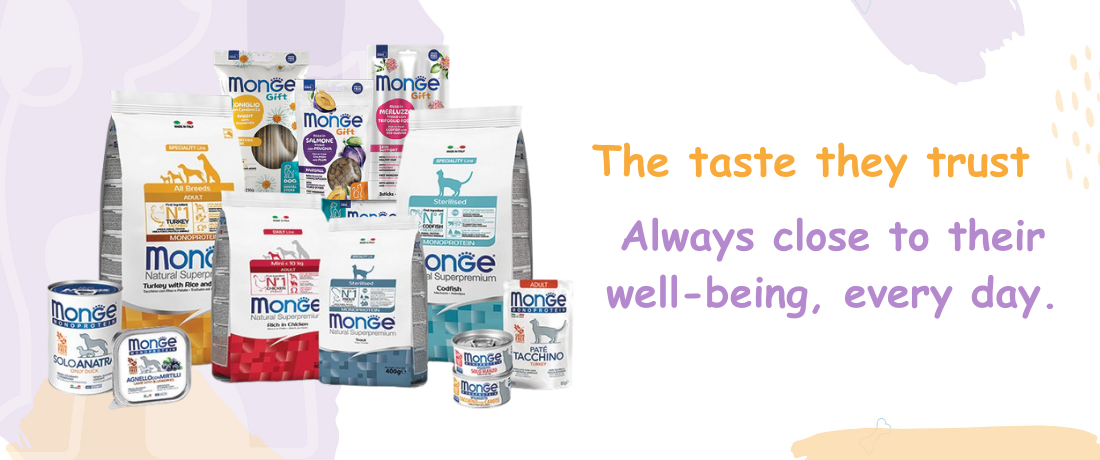 PetLoom Store promo