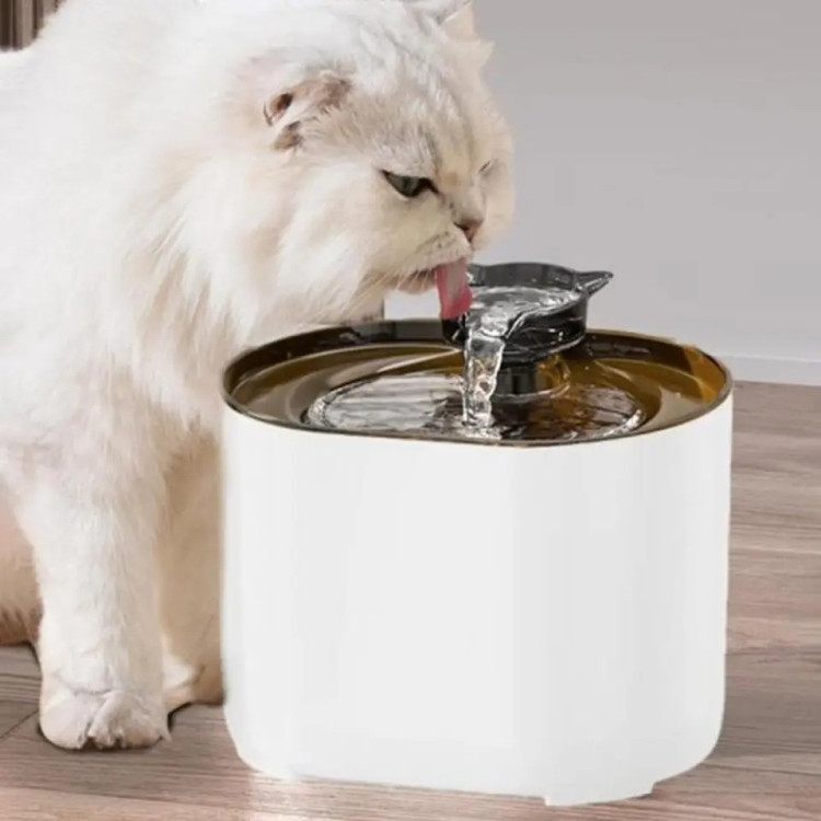 Cat Water Dispenser Fountain