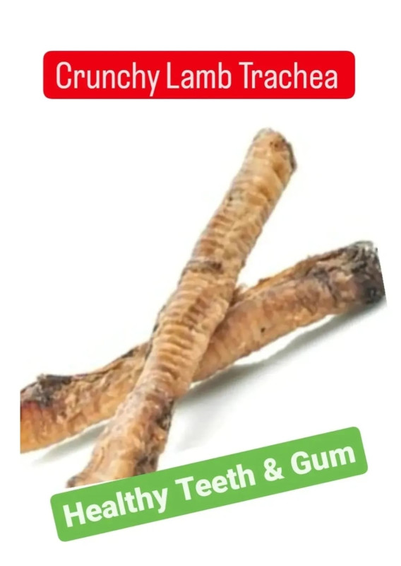 Lamb Trachea – 100% Organic Dog Treat