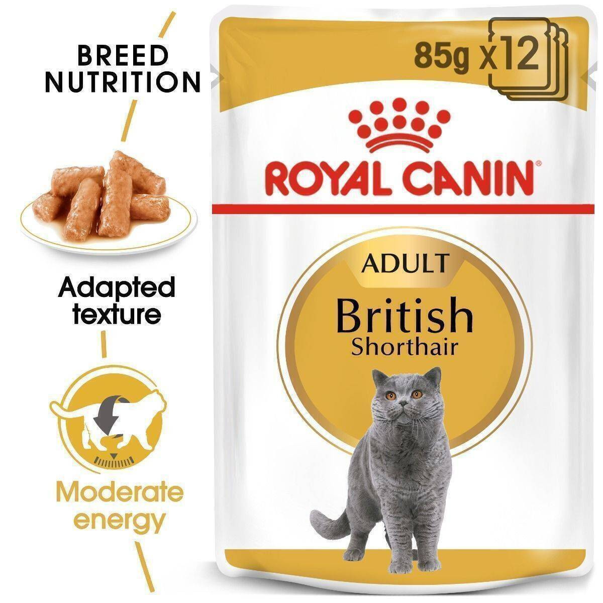 Royal Canin British Shorthair Chunks In Gravy