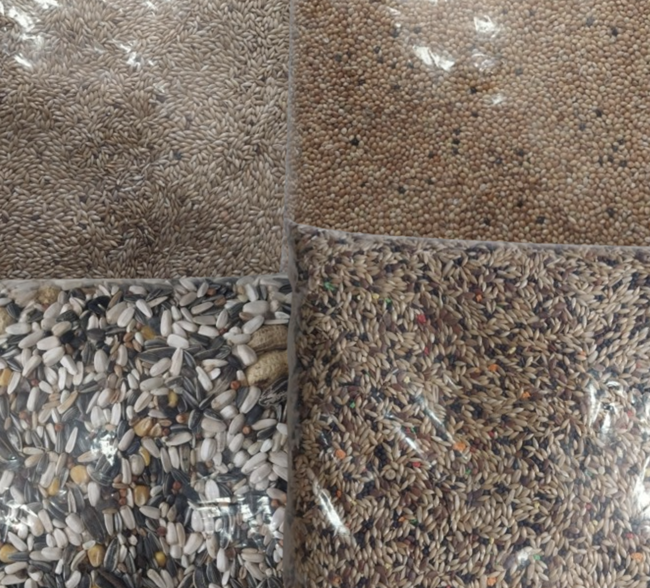 Premium Bird Seed Mix