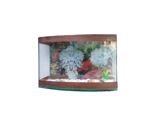 Premium Glass Aquarium with Accessories
