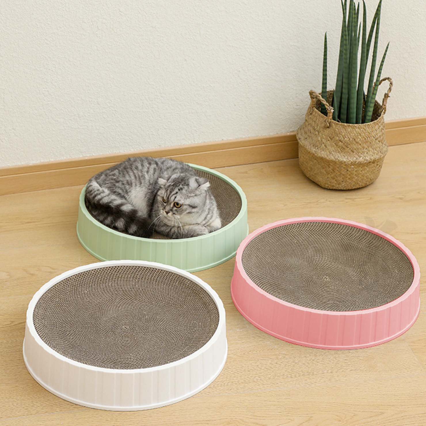 Round Cat Scratcher Bed – Assorted Colors