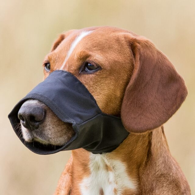 Trixie Muzzle Loop (Art.-Nr. 1925)
