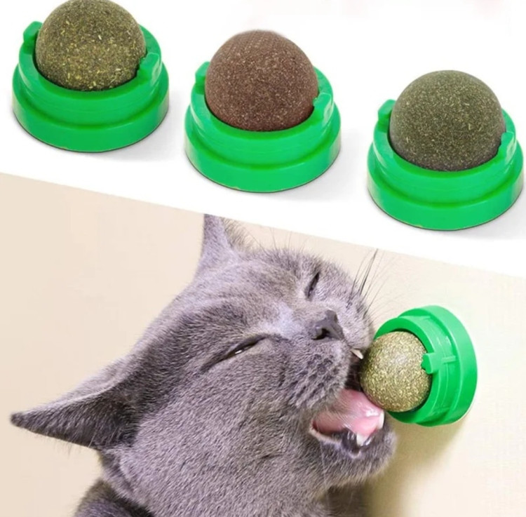 Catnip Ball Wall-Mounted Treat