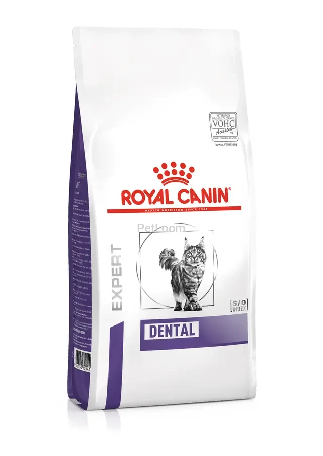 Royal Canin Dental Dry Food for Cats
