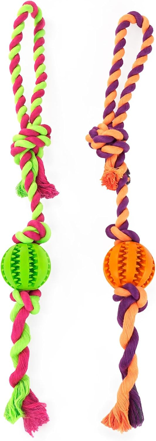 Interactive Chew Ball with Rope