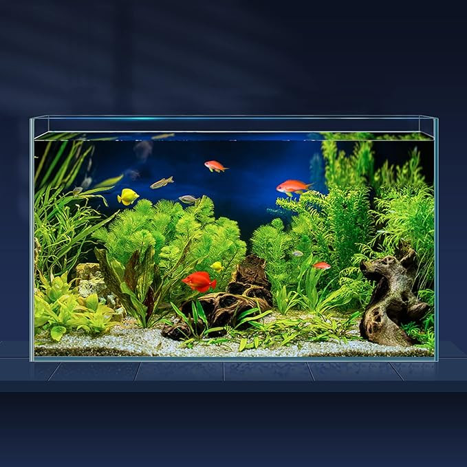 Premium Rimless Clear Glass Aquarium with Accessories