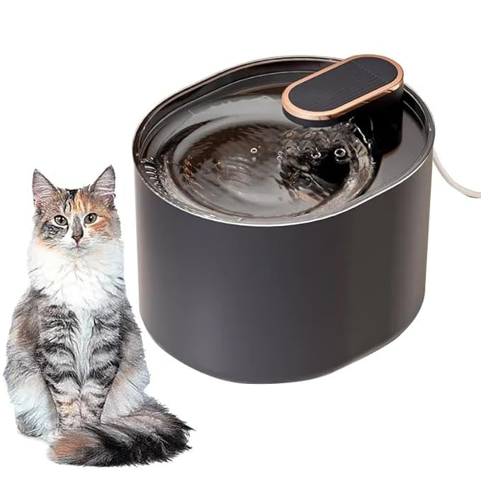 Dog & Cat Fountain with Filter – Automatic Hydration System