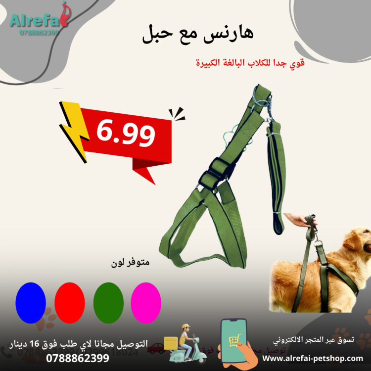 Adjustable No-Pull Dog Harness with Padded Handle