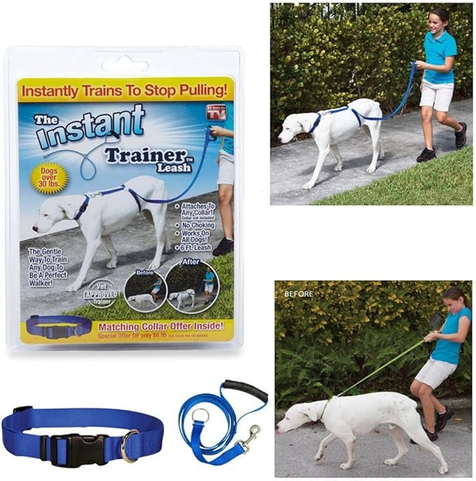 The Instant Trainer™ Leash