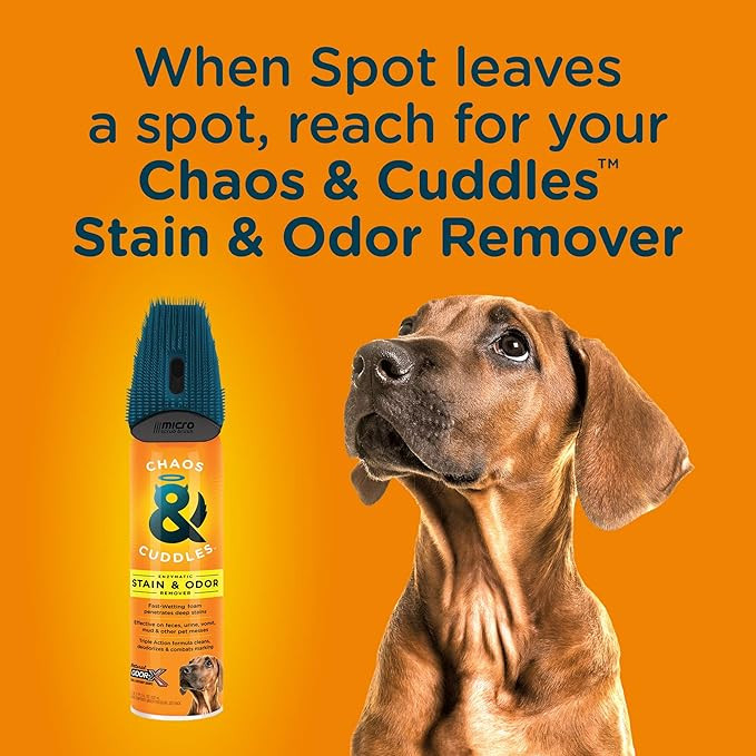 Enzymatic Stain & Odor Remover with Micro Scrub Brush