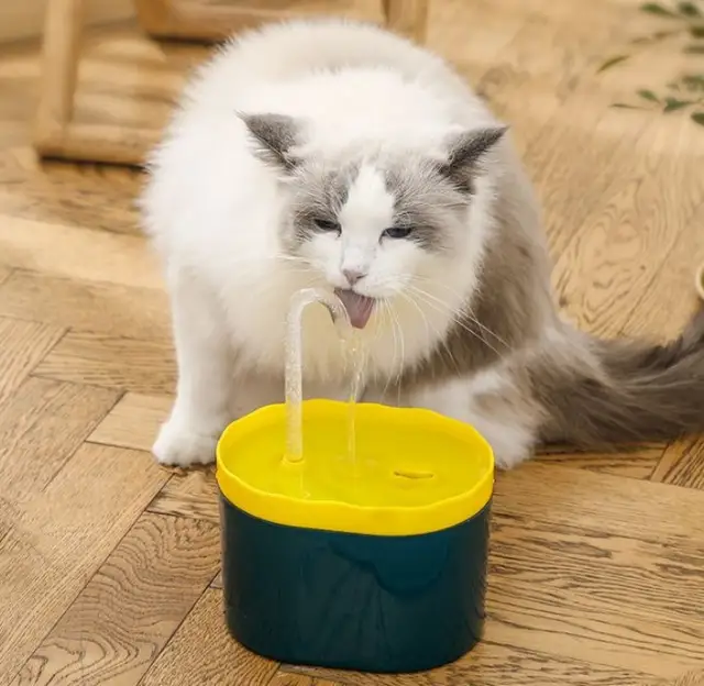 Dual-Tone Pet Fountain