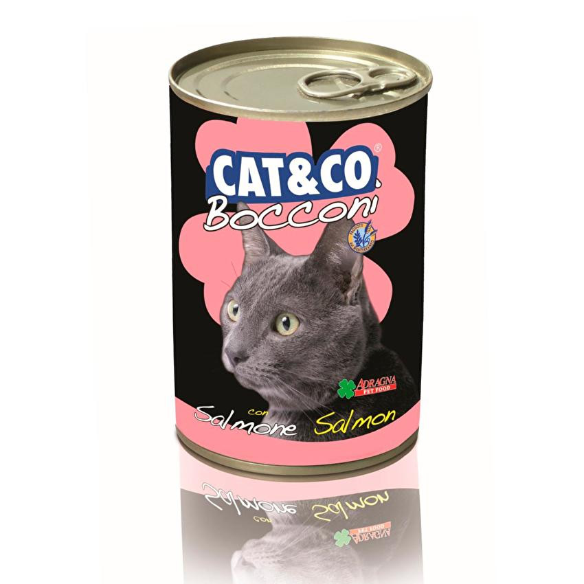 Cat & Co Bocconi with Salmon Wet Cat Food