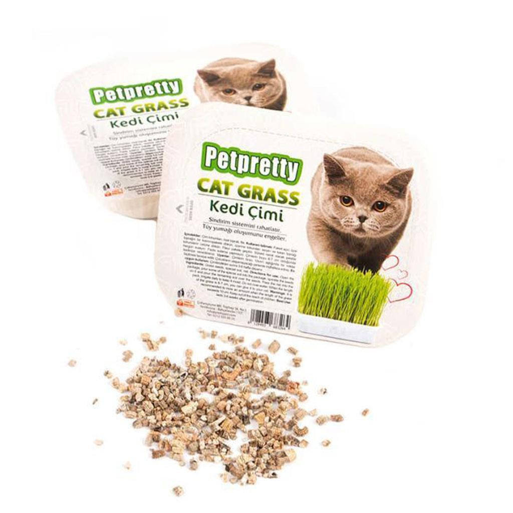 Petpretty Cat Grass – Natural Digestion Aid & Hairball Prevention