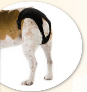 IdealDog Slip Hygienique – T1 (20–30 cm)