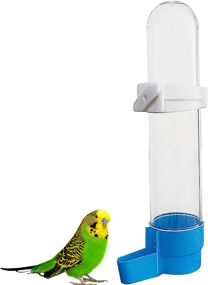 Bird Water Dispenser Feeder