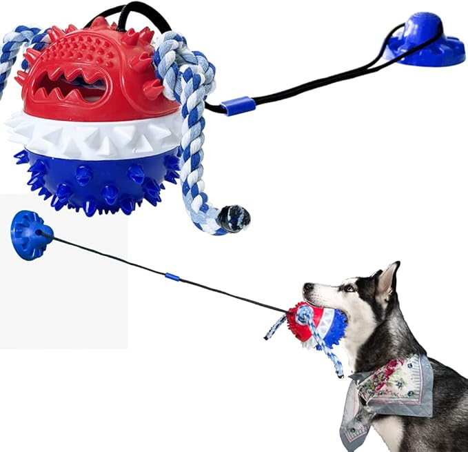 Dog Dental Chew Toy with Suction Cup