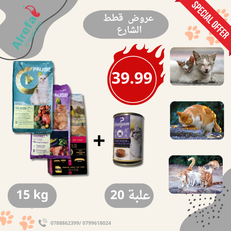 Pause Special Offer for Street Cats – Only 39.99