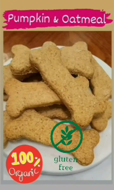 Pumpkin & Oats Biscuits – Healthy Dog Treats