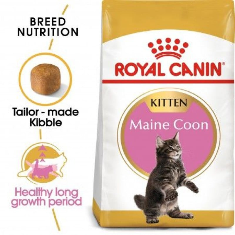 Royal Canin Maine Coon Kitten