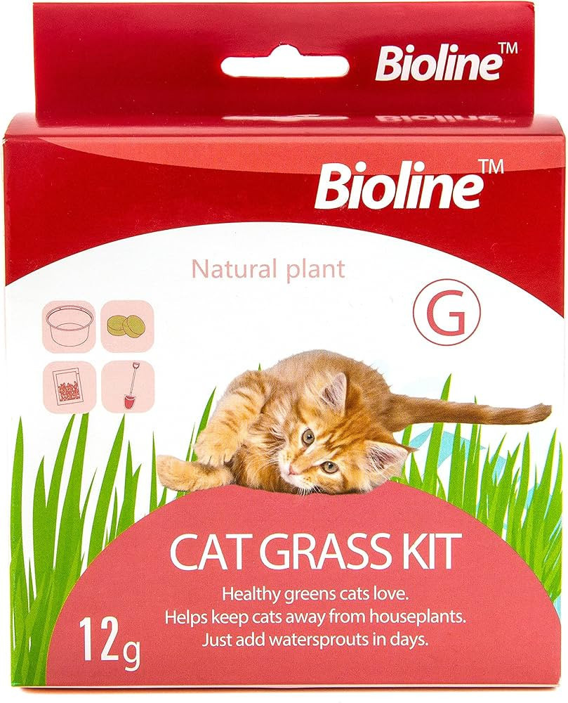 Bioline Natural Plant Cat Grass - 12gm