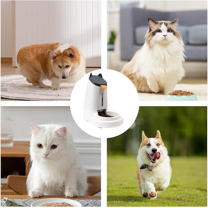 Automatic Pet Feeder
