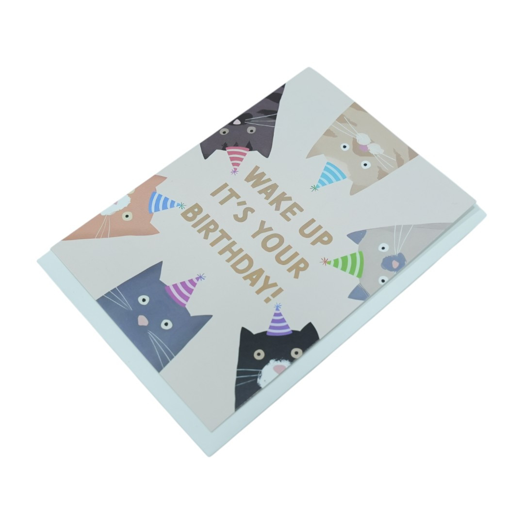 Wake Up It’s Your Birthday! Greeting Card