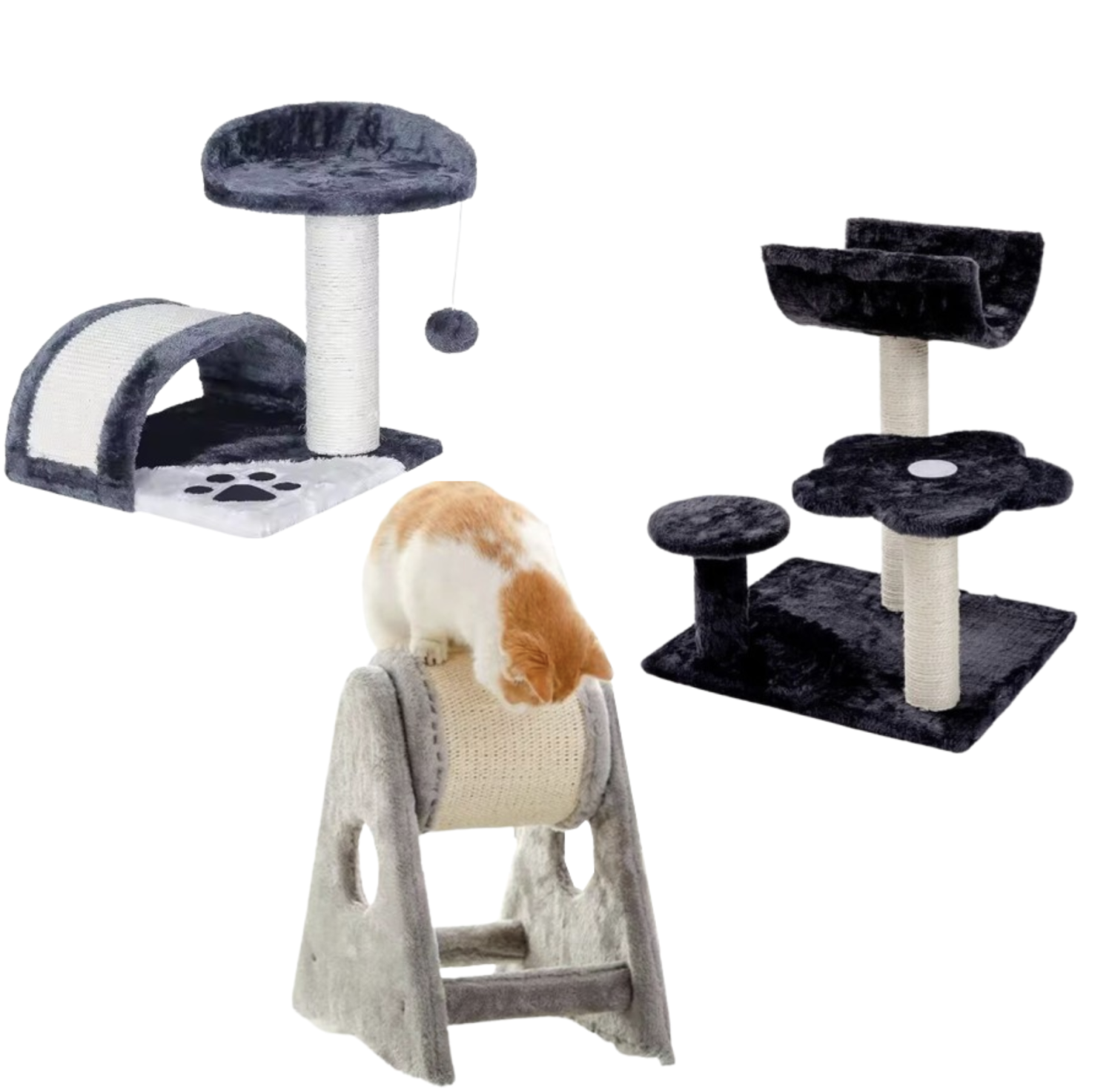 Cat Scratchers & Activity Centers
