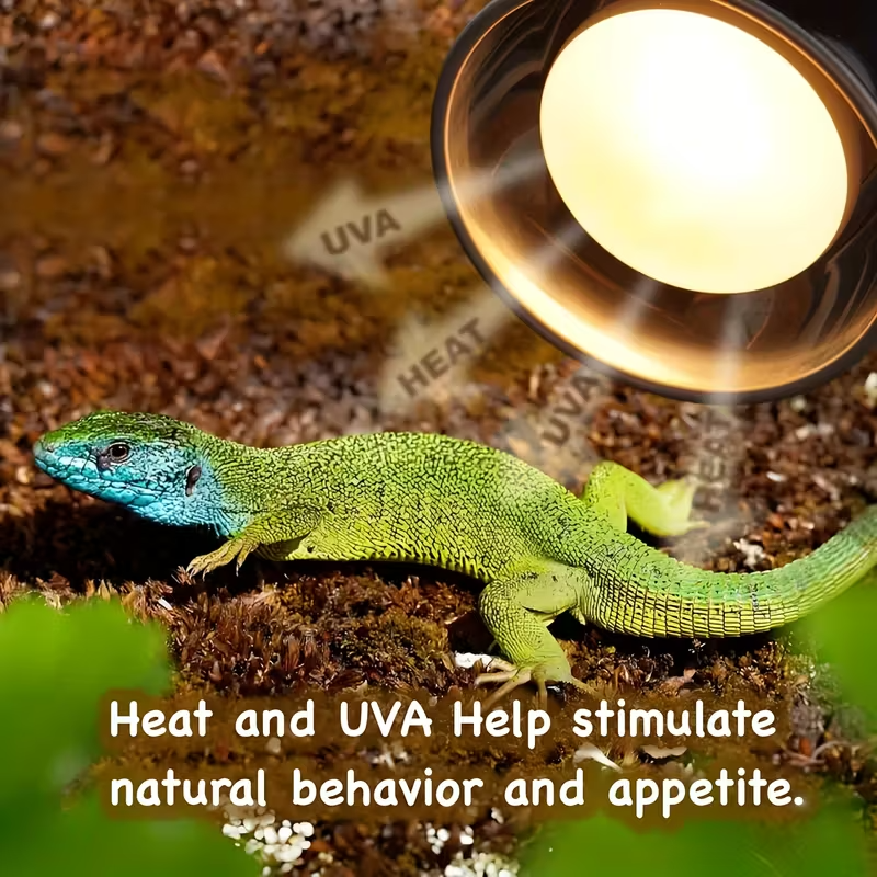 Reptile Heat & UVA Lamp