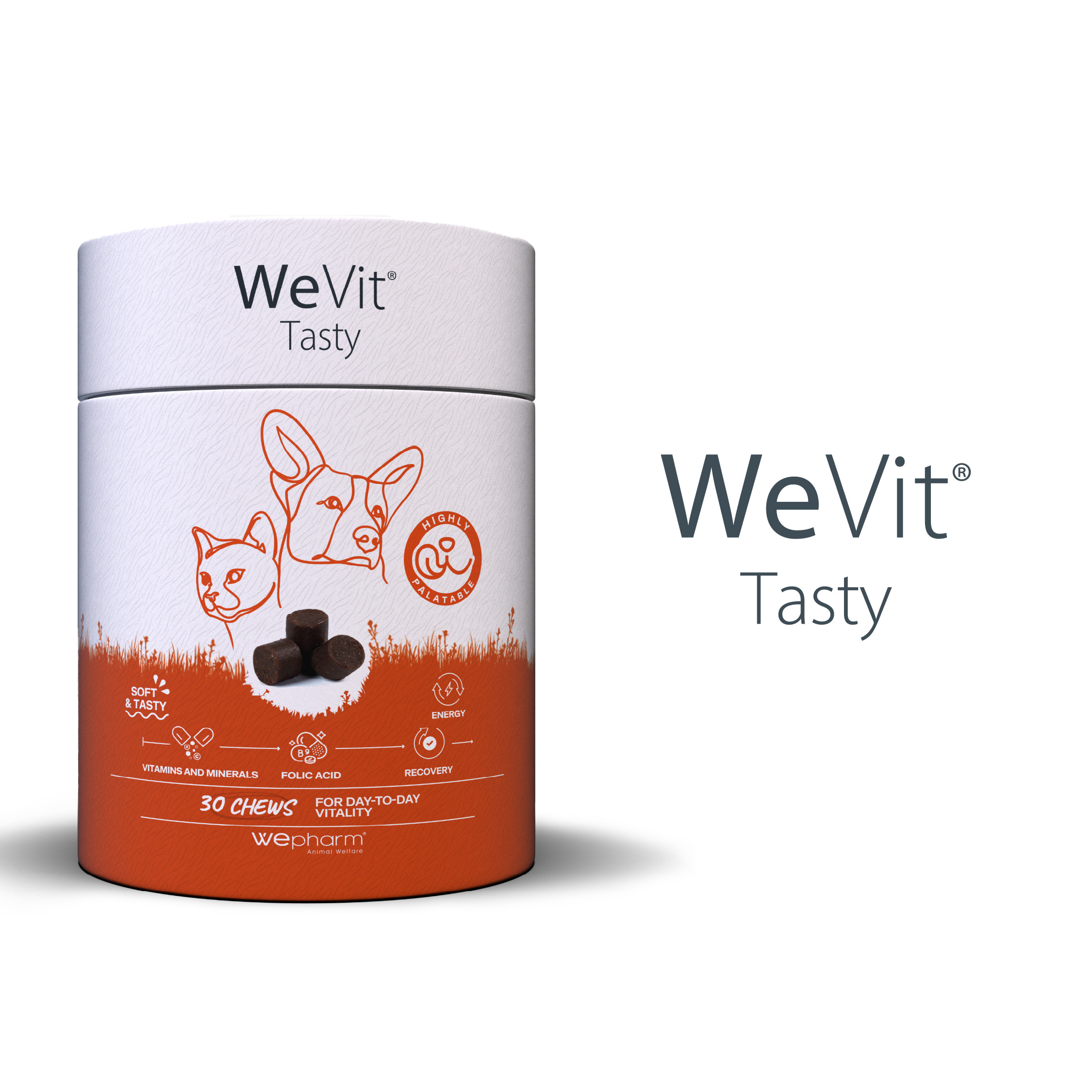 WeVit Tasty for Dogs & Cats (30 soft-chews)