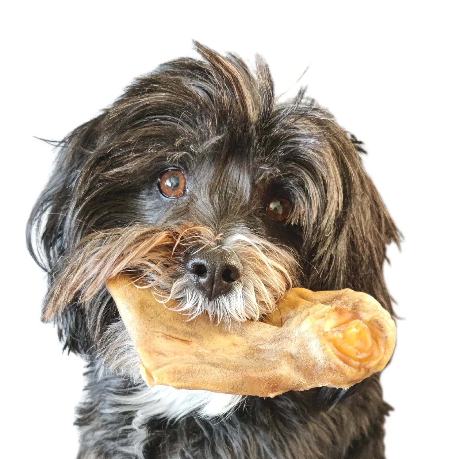 Doggy Bites – Beef Skin Chews