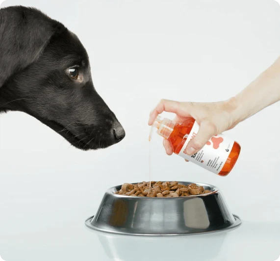 Brilliant Salmon Oil for Dogs and Cats