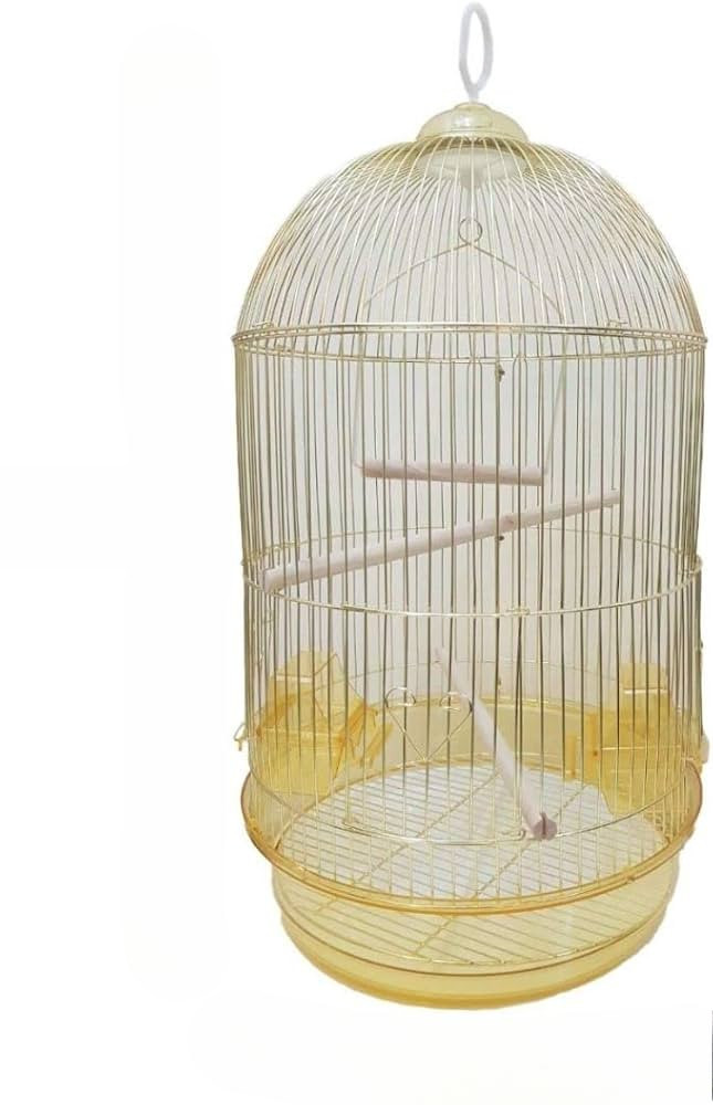 Classic Dome-Shaped Bird Cage