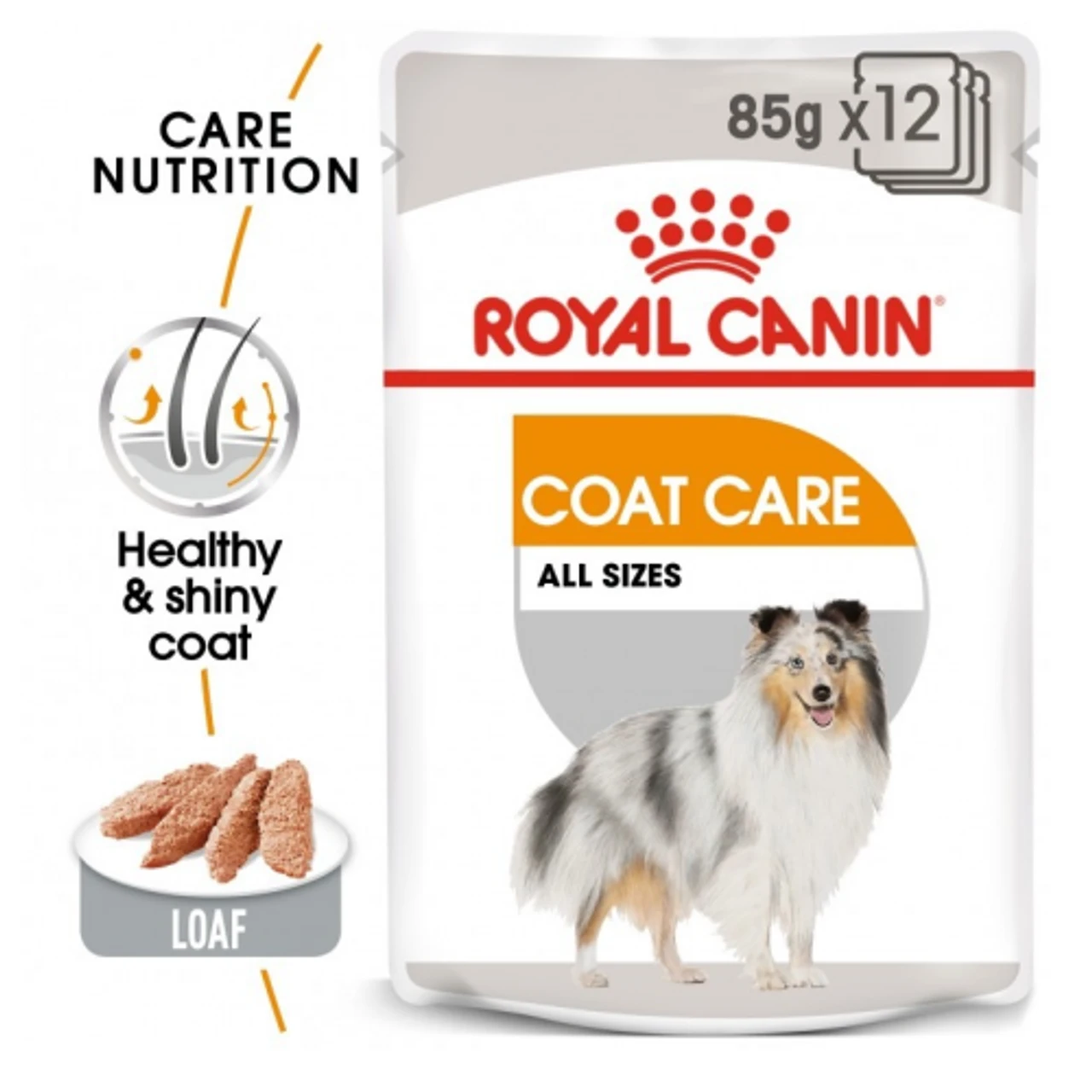 Royal Canin Coat Care Loaf Wet Dog Food