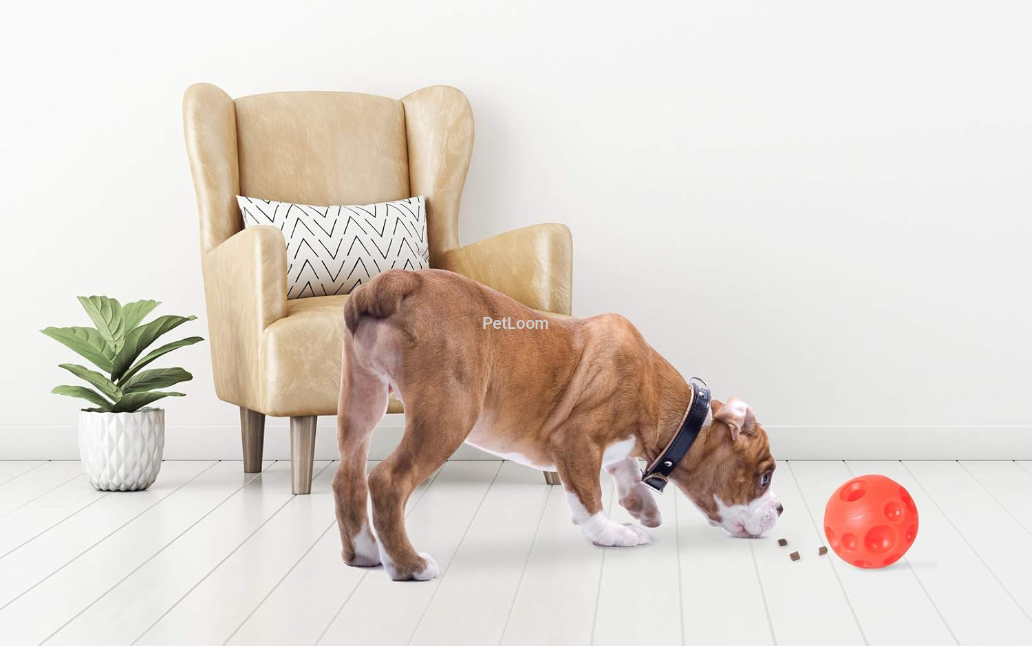 Omega Paw Tricky Treat Ball – Interactive Dog Treat Dispenser (2.5")