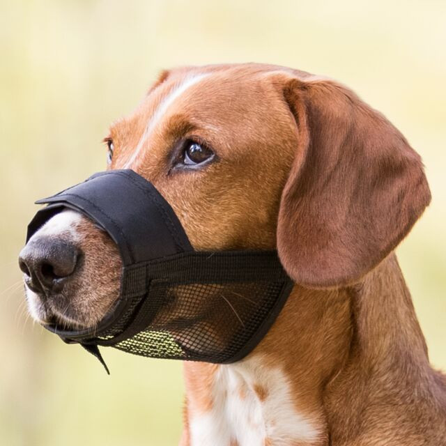 Trixie Muzzle Loop with Net Insert (Art.-Nr. 19263)