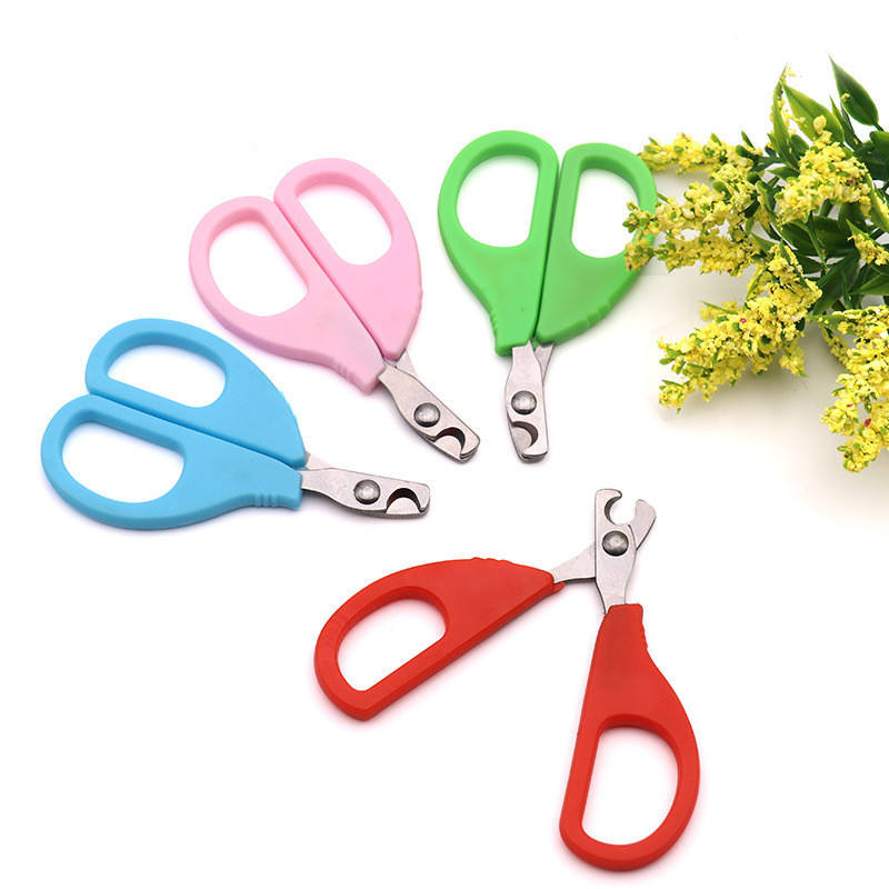 Pet Nail Scissors – Grooming Tool for Cats & Dogs