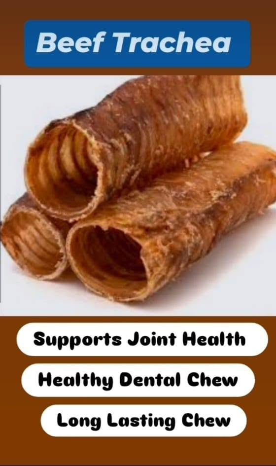 Beef Trachea Dog Chew (Small–Medium | 17–25 cm)