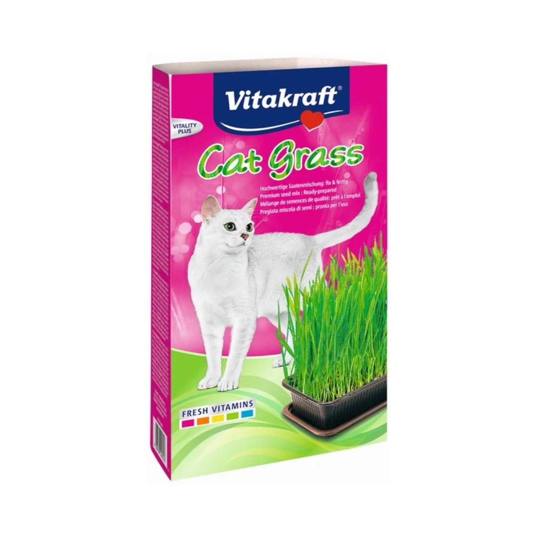 Vitakraft Cat Grass – Ready-to-Grow Cat Grass Kit