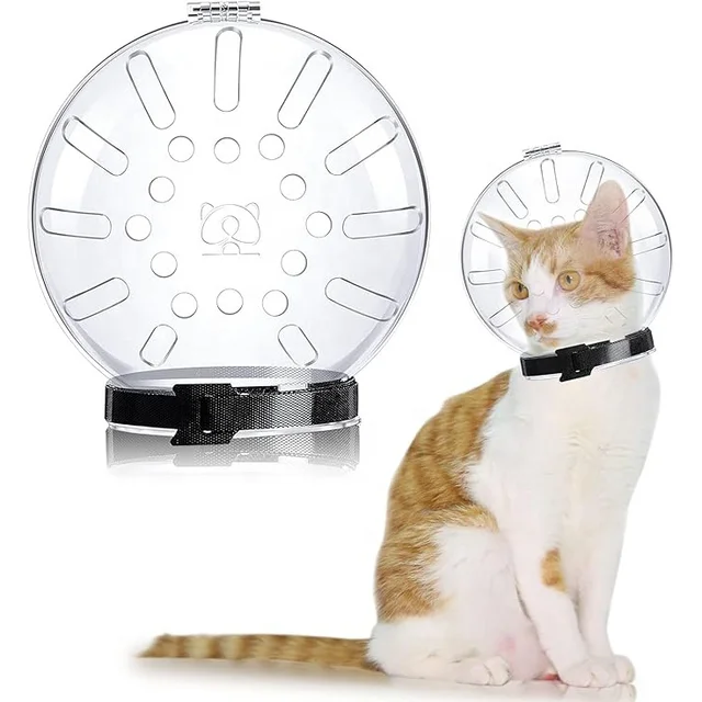 Transparent Cat Muzzle with Enhanced Ventilation