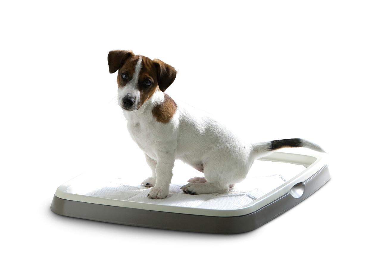 Savic Puppy Trainer Starter Kit – Medium (45 × 30 cm)